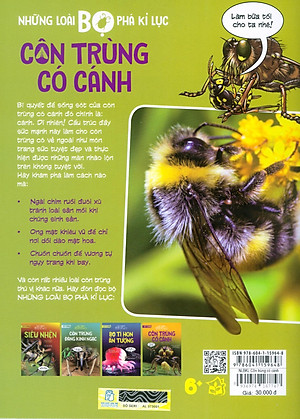 Sách Những Loài Bọ Phá Kỷ Lục - Côn Trùng Có Cánh