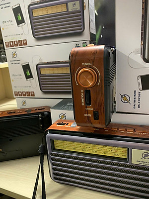 Đài Radio FM DS-1975BT Nhật-Kiểu Dáng Cổ Điển - Loa Bluetooth 5.4 Hỗ Trợ USB, Thẻ nhớ, Cáp sạc typeC - Hàng chính hãng