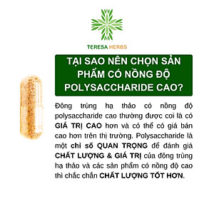 Combo 2 hộp Đông Trùng Hạ Thảo Tây Tạng Teresa Herbs: Bổ Thận, Bổ Phổi, Bổ Tim, Tăng Cường Đề Kháng 60 viên