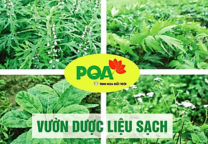Ho PQA Hỗ Trợ Giảm Đờm, Ngứa Họng, Khản Tiếng Và Tình Trạng Ho Kéo Dài Hộp 125ml