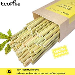 Hộp 100 Ống Hút Cỏ Bàng Ecopine Dài 20 cm - Dùng Được Cho Tất Cả Các Loại Thức Uống