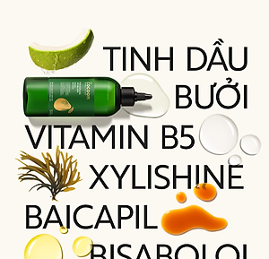 Nước dưỡng tóc tinh dầu bưởi Cocoon 310ml