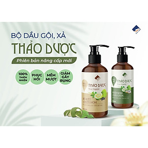 Dầu gội thảo dược PREMIUM ECOCARE 300ml đạt chuẩn CGMP, dầu gội xả thảo mộc giúp sạch gàu, giảm rụng tóc