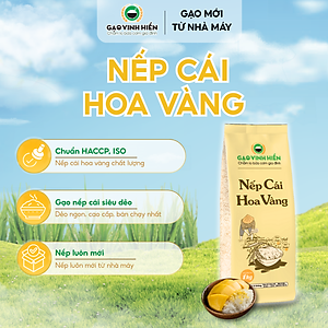 Nếp Cái Hoa Vàng Vinh Hiển Túi 1KG - Dẻo nhiều, thơm ngon