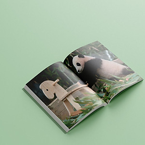 Sách Nhật Ký Hạnh Phúc Của Công Chúa Fubao - Tái Bản