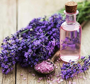 Tinh dầu Lavender ( Oải Hương) nguyên chất từ thiên nhiên, xông phòng, khử mùi, thơm phòng, đuổi muỗi - KingOil