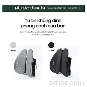 Tựa Lưng Ghế Văn Phòng Công Thái Học Đệm Tựa Lưng Văn Phòng