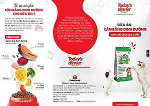 [ 1KG ] Thức ăn hạt cho chó mọi lứa tuổi TODAY'S DINNER 