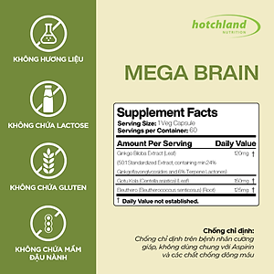 Viên uống Ginkgo Biloba hỗ trợ tăng cường tuần hoàn máu não, bổ não Hotchland Mega Brain TPBVSK-Hàng chính hãng [Hộp 60 viên]-HL0115