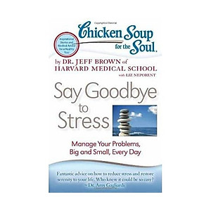 Chicken Soup for the Soul: Say Goodbye to Stress: Manage Your Problems, Big and Small, Every Day