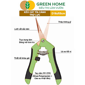 Kéo Cắt Cành GreenHome, D16,5xR4,5cm, Inox, Mũi Nhọn, Siêu Bén, Không Gỉ, Có Khoá An Toàn, Nhiều Màu Lựa Chọn