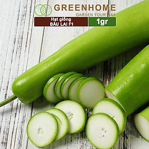 Hạt Giống Bầu Lai Greenhome, Gói 1gr~10 hạt, Dễ Trồng Quanh Năm, Nảy Mầm Cao, Thu Hoạch Nhanh, Năng Suất Cao T09
