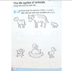 Khoa Học Tiền Tiểu Học Song Ngữ - Sách Luyện Tập 5