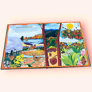 Sách cho bé - Vòng Quanh Thế Giới Cùng Mẹ Thiên Nhiên - Sách tranh, bìa cứng, khổ lớn - Dành cho bé từ 4 tuổi