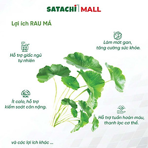 Bột Rau Má Nguyên Chất SATACHI – 100% rau má tươi, không đường – Hộp 68g & 218g