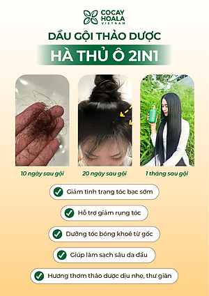 Dầu Gội Xả 2in1 Hà Thủ Ô Cỏ Cây Hoa Lá VIETNAM - Dưỡng Tóc Đen Mượt, Bóng Khỏe, Dung tích 420g/chai