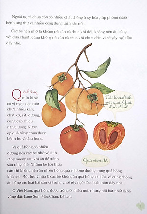 Nhìn Thì Giống Hóa Ra Lại Khác