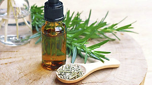 Tinh dầu Hương Thảo nguyên chất từ thiên nhiên, xông phòng, khử mùi, thơm phòng, đuổi muỗi - KingOil