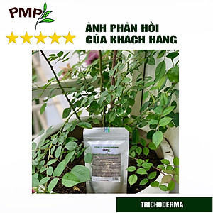 Nấm Trichoderma PMP Nấm Đối Kháng Phòng Thối Rễ, Ủ Phân Hữu Cơ Từ Rác Thải Hữu Cơ 200g