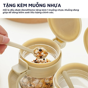 Set 3 hũ (lọ) đựng gia vị kèm khay DandiHome 250ml thủy tinh cao cấp tặng muỗng