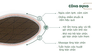 Lót giày lưới 1 lớp Hương Quế CI-05 làm từ vải lưới 1 lớp - vải cotton - bột quế giúp êm chân - ấm chân - phòng cảm cúm và cải thiên sức khỏe