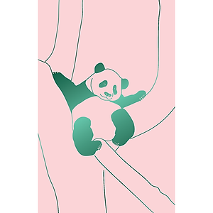 Sách Nhật Ký Hạnh Phúc Của Công Chúa Fubao