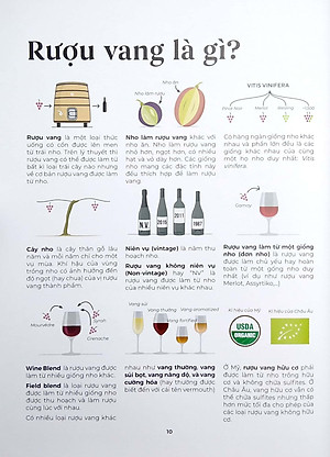 Wine Folly Toàn Tập (Phiên Bản Magnum)
