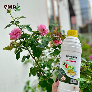 Combo Phân Bón Hữu Cơ Cho Cây Ăn Quả 1 Tricow và 1 Dịch Chuối x4 Kali