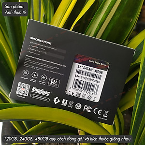 Ổ cứng SSD KingSpec 240GB / P4-240 đã gồm Windows 10 - Hàng Chính Hãng
