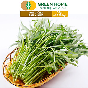 Hạt giống rau Muống cao sản, gói 50g~1200 hạt, dễ trồng, thu hoạch nhanh R09