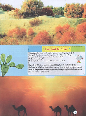 Sách Bách Khoa Tri Thức Đầu Đời Cho Trẻ Em - Trái Đất Diệu Kỳ - Khám Phá "Cơ Thể" Trái Đất