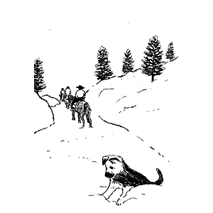 Sách Chuyện Con Chó Tên Là Trung Thành