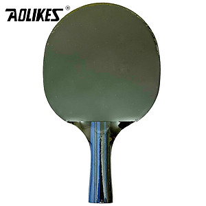Bộ 2 vợt bóng bàn tặng kèm 3 bóng AOLIKES A-9845 table tennis bat