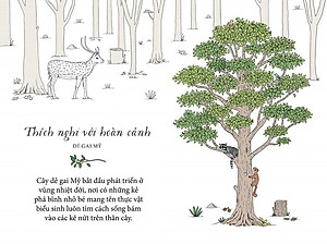 Sống Như Những Cái Cây - Những Bài Học Nhỏ Để Có Nguồn Hạnh Phúc Bất Tận (Tái Bản 2021)