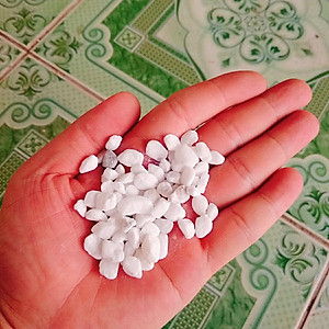 Đá sỏi trang trí chậu cây - 500g - Đá cuội sỏi chuyên trang trí bể cá, sân vườn - Dòng sỏi trắng cao cấp