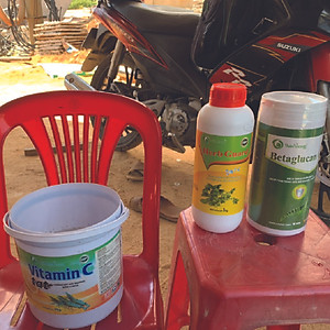BETAGLUCAN GRO - Kích thích miễn dịch, giúp tôm tăng sức đề kháng, chống stress (Hũ 1kg)