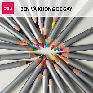 Hộp bút chì màu gốc dầu Dmast cao cấp Deli - Hộp thiếc màu đậm, tươi sáng, tô vẽ tranh cho người mới, chuyên nghiệp cho người mới
