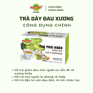 Trà Trái Nhàu Túi Lọc Khỏe Gân Cốt Tốt Hỗ Trợ Giảm Đau Khớp - Hùng Phát Thương Hiệu 35 Năm