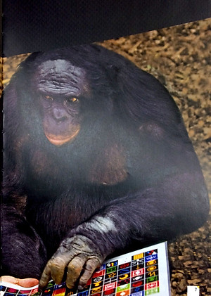 Cambridge English Empower Advanced Student's Book