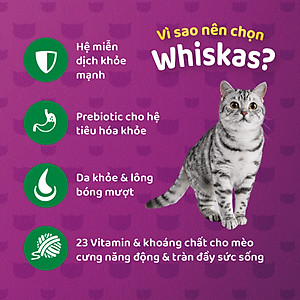 Thức Ăn Cho Mèo Whiskas Adult 1+ Years Vị Cá Ngừ 3kg/Túi
