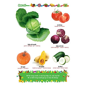 Sách: Từ Điển Tranh Về Rau - Củ - Quả - Hoa (Bìa mềm)