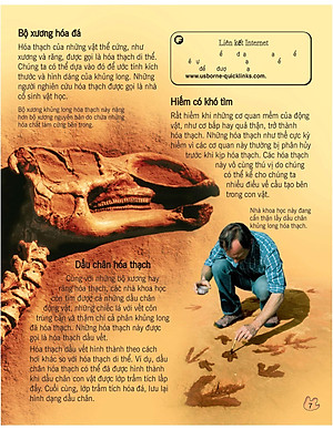 Sách Bách Khoa Tri Thức Về Khám Phá Thế Giới Cho Trẻ Em - Khủng Long (Tái Bản 2018)