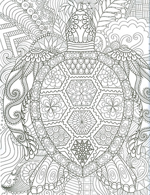 Ocean - Adults Colouring Book (Sách Tô Màu Dành Cho Người Lớn: Đại Dương)