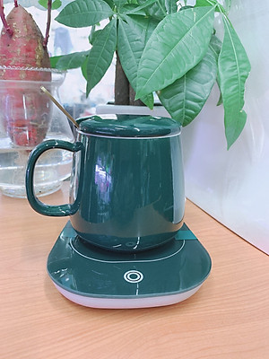 CỐC UỐNG NƯỚC, TRÀ SỨ CAMELIA KÈM ĐẾ HÂM TẶNG KÈM THÌA MẠ VÀNG -  ANTH431