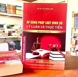 Áp Dụng Pháp Luật Hình Sự Lý Luận Và Thực Tiễn 
