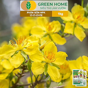 Phân Bón NPK 17-17-17, Greenhome, Gói 1kg, Bung Chồi Đọt, Thúc Nút Kim, Tạo Mầm Dưỡng Hoa