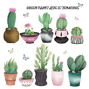 Decal dán tường, dán kính trang trí hoạ tiết Xương Rồng XC9013