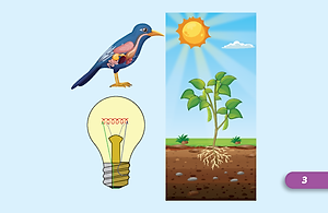 Tiếng Anh 5 i-Learn Smart Start - Student's Cards