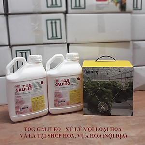 Dung Dịch Xử Lý Hoa TOG Galileo của ISRAEL (Chai 1 Lít) dùng bảo quản hoa cắt cành tươi lâu tại Nhà Vườn Trồng Hoa, Vựa Hoa và Chợ Sỉ Hoa. Tỷ lệ dung dịch 0.1% tức chai 1 Lít TOG pha được 1.000 Lít dung dịch xử lý hoa
