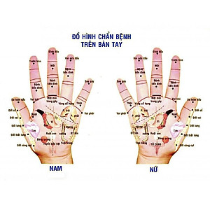 Cây Lăn Mát xa Mặt Mũi Bằng Gỗ Bách Xanh - MH860 - Kích thích các huyệt đạo làm thon gọn khuôn mặt